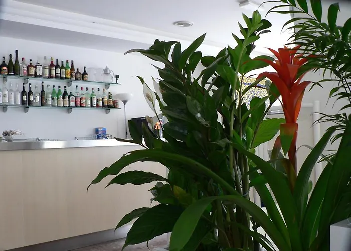 Haiti Milano Marittima