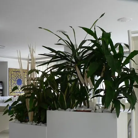 Haiti Ξενοδοχείο