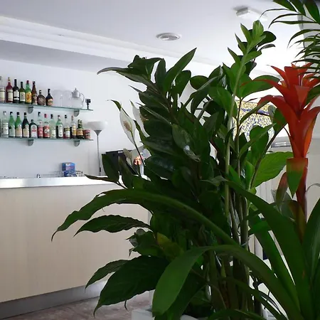Haiti Milano Marittima